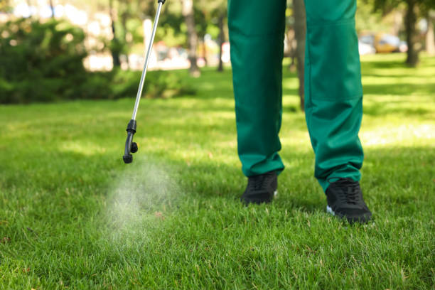 Best Flea Control Services  in Panama City, FL