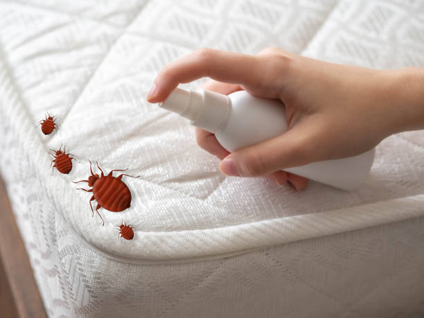 Best Cockroach Control Services  in Panama City, FL