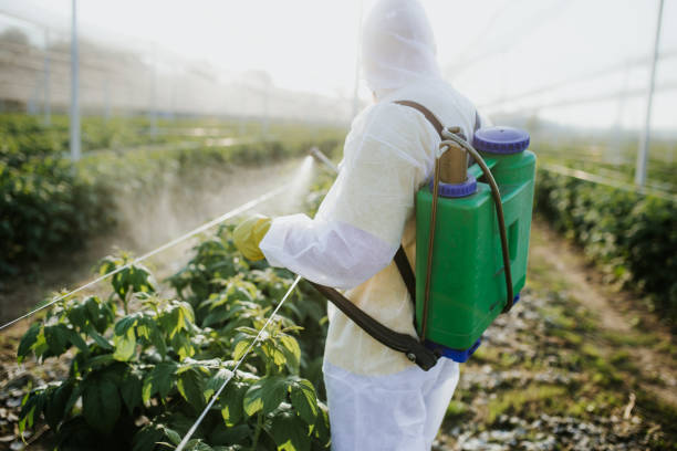 Best Emergency Pest Control  in Panama City, FL